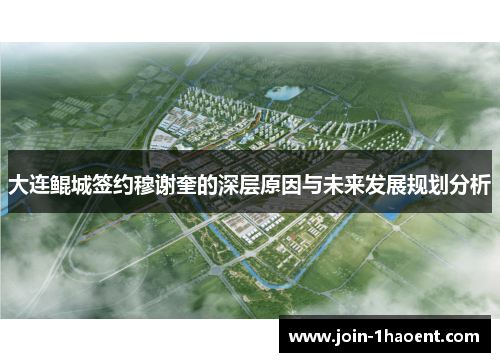大连鲲城签约穆谢奎的深层原因与未来发展规划分析