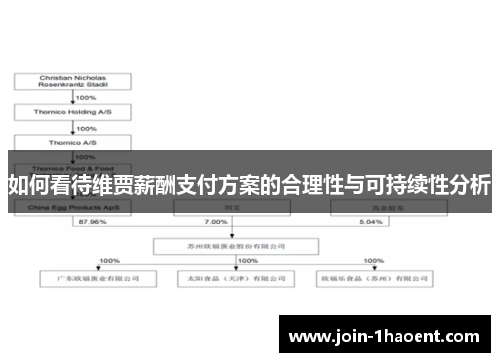 如何看待维贾薪酬支付方案的合理性与可持续性分析