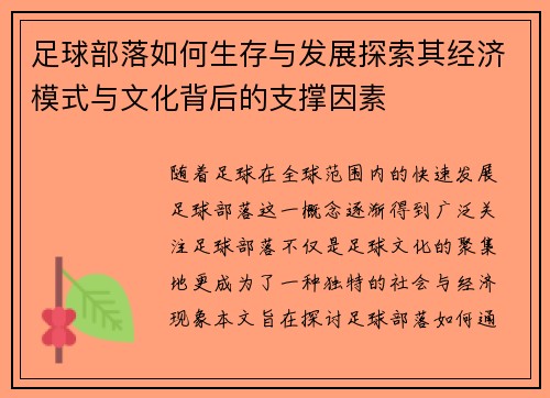 足球部落如何生存与发展探索其经济模式与文化背后的支撑因素